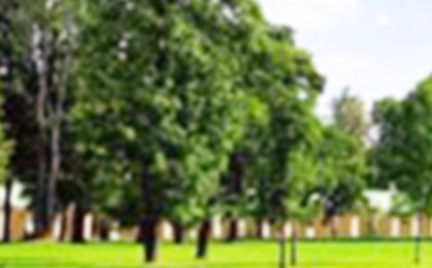 �����(y��ng)���ǹ��@��