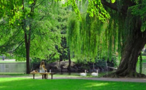 �����á����@һ������