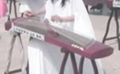 與古箏的一面之緣作文