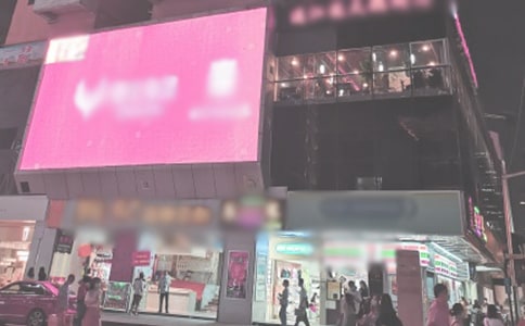 《時代廣場的蟋蟀》讀后感14篇