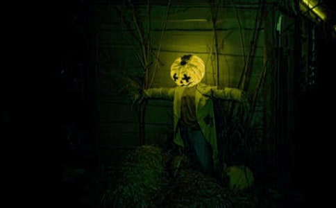 ���ݚv�Uӛ����ͨ��9ƪ