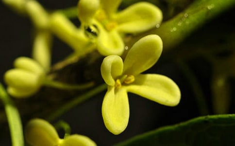 �茑��Ԋ��15ƪ