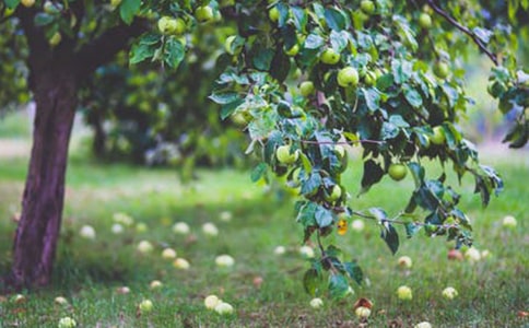 ���@����