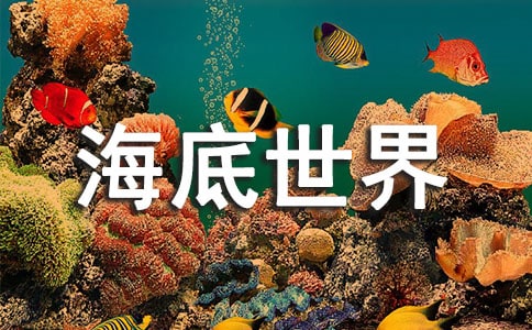 �κ�����������ͨ��[15ƪ]