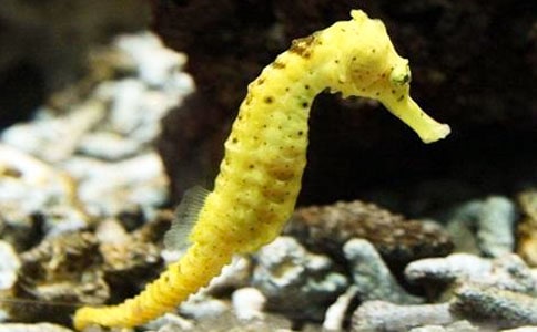 �����R�Ľ��]���x��У����x10ƪ��