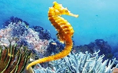 ����W�����g�̰�����˼�����R�ְ֡�