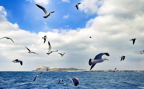 ���t�̼{ɭ�x���