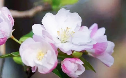 �ļ����Ġ�����ô�k