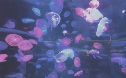 �P�ں��󹫈@��ӛ������