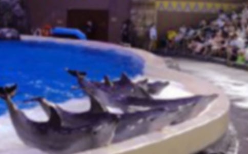 ����(y��u)�x�����������34ƪ