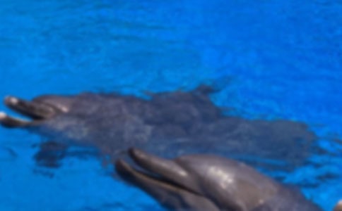 ������������Č��á�9ƪ��