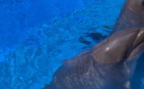 [����]���������15ƪ