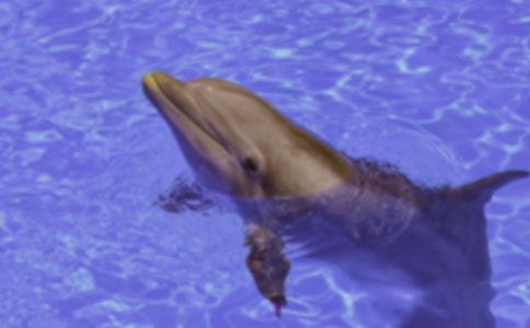 �P�ں�������