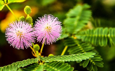 ���߲�����(���\10ƪ)