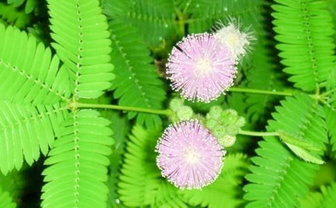 �����ã����߲�����