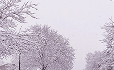 �����������ģ����x11ƪ��