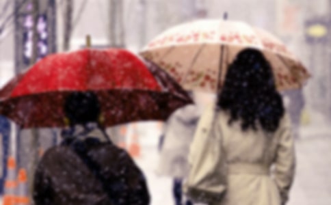 防范寒潮大風(fēng)極寒天氣實(shí)施方案(精選11篇)