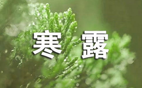 2023寒露是幾月幾日