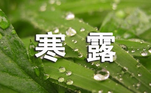 2023年寒露農歷幾月幾日(實用6篇)