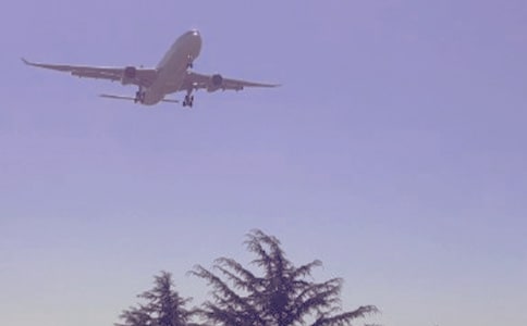 �����A(y��)��20��