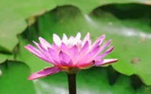 �茑�ɻ����~��Ԋ��