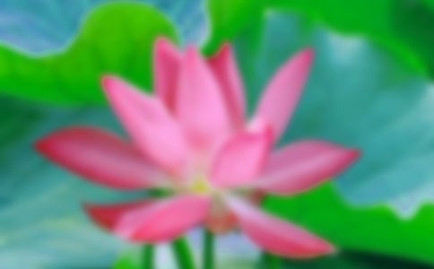 �P�ںɻ���Ԋ��