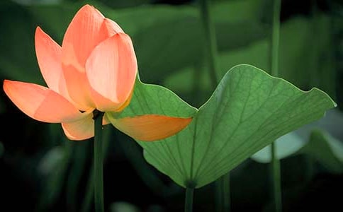 (�ϼ�)�P(gu��n)�ںɻ���Ԋ(sh��)��