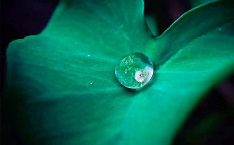 ��ͨ�ã����~����������10ƪ