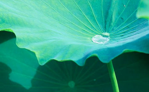 ���~������