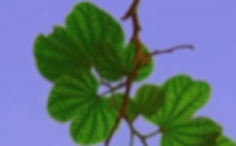 ���P���C�����ąR��5ƪ