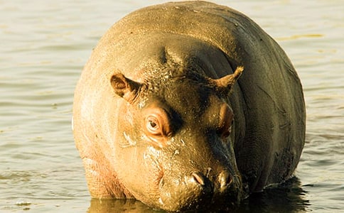 �P(gu��n)�ڴ���Rˮ�Ϙ�(l��)�@�����ģ�ͨ��12ƪ��