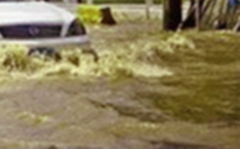 洪水無(wú)情人間有愛(ài)作文(通用23篇)