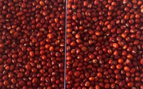 薏米紅豆粥的功效-薏米紅豆粥的做法