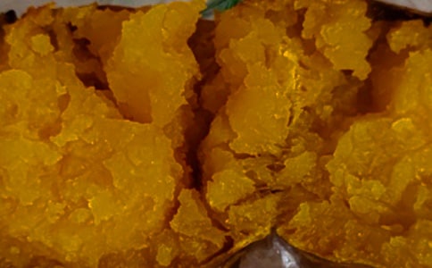 挖紅薯作文15篇(熱門)