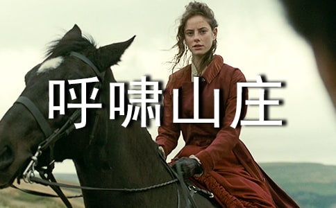 呼嘯山莊閱讀經(jīng)驗寫作格式范文