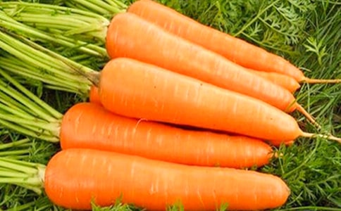 ţ����}������������������Щ