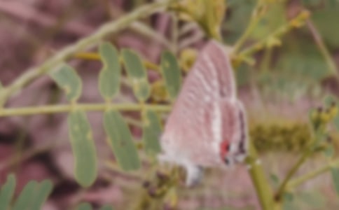 �P�ں����Ą�־����