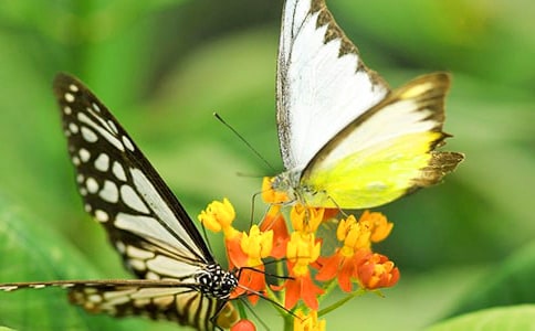 С�۷�ͻ���������