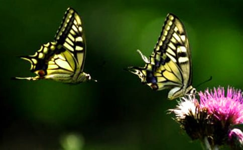 �����^���