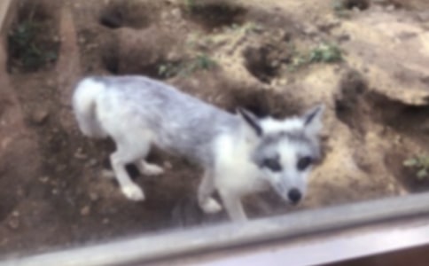 ��؂��ɽ��Ĺ���