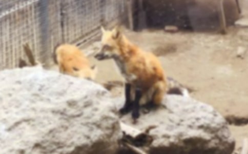 С��؂�όW���D��Ԓ[�]]