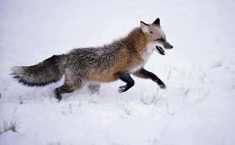 [���A]��؂�c���f�Ĺ���15ƪ