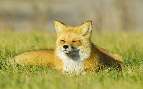 ��؂�c���f�¾�����