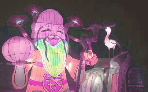 �����p������Ԋ��50��