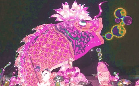 看花燈作文10篇(必備)