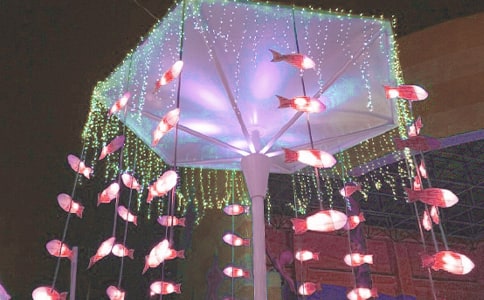 [���A]�[��������