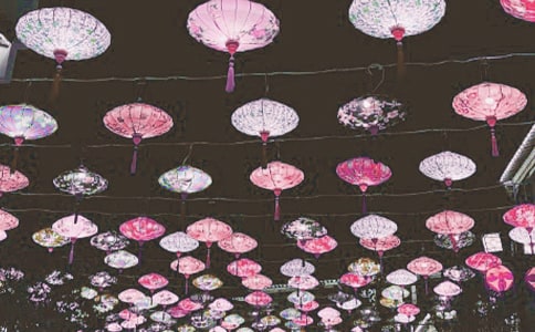 (優(yōu))觀花燈作文