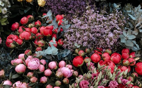 網(wǎng)上花店開店創(chuàng)業(yè)計(jì)劃書(2)