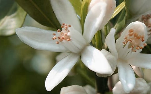 �_�����еĻ������ąR����15ƪ��