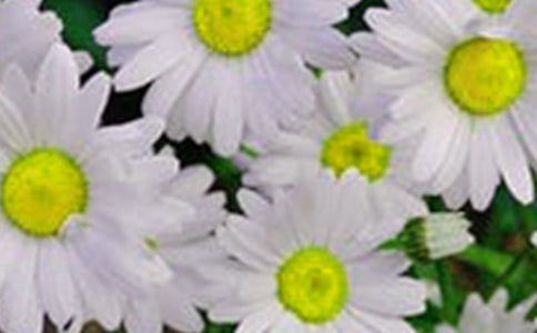 ���еĻ�������